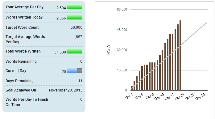 NaNoWriMo NaNoWriMo