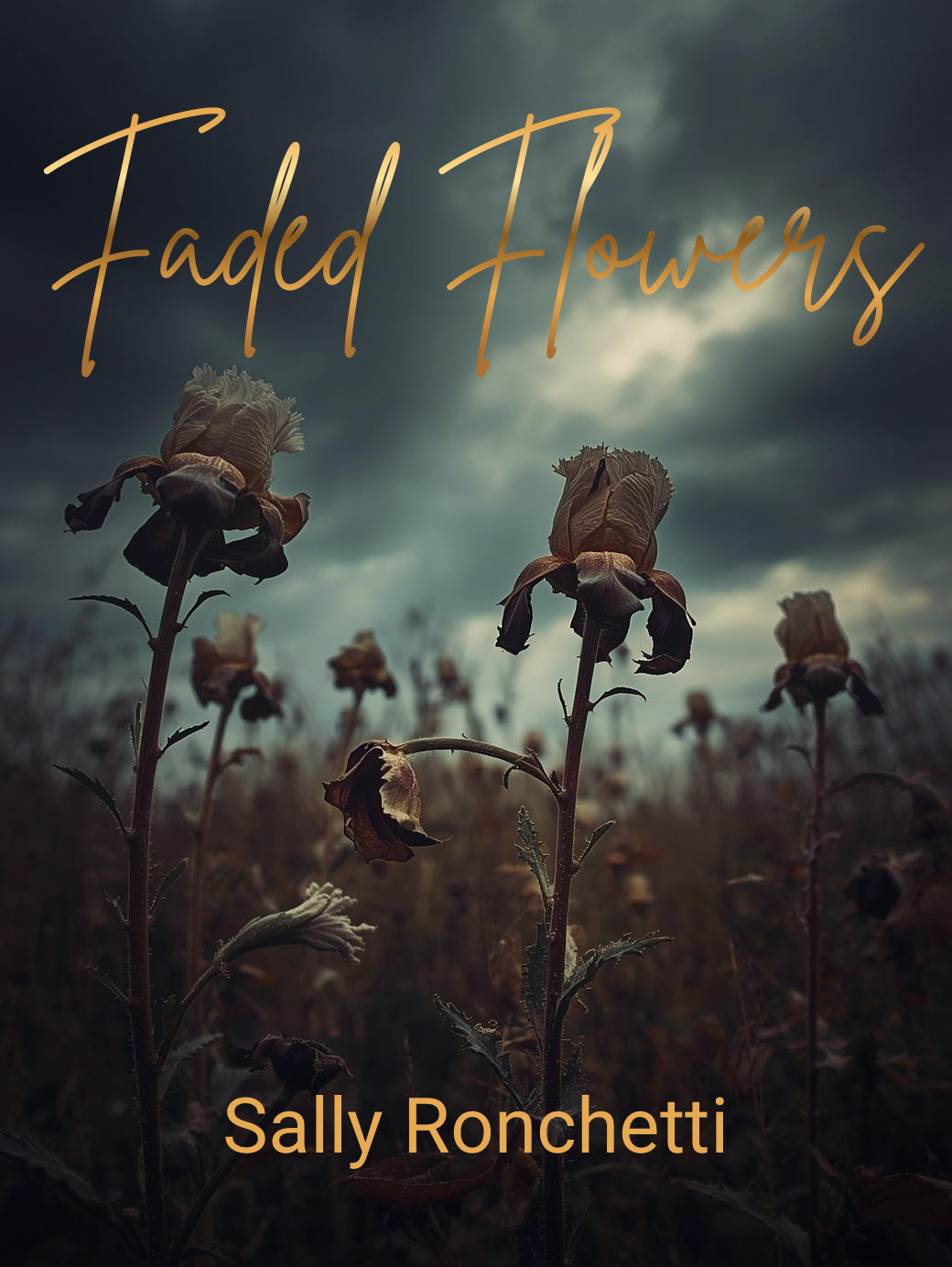 Working idea of cover